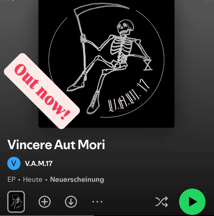 V.A.M.17, skinhead, Oi!, streetpunk