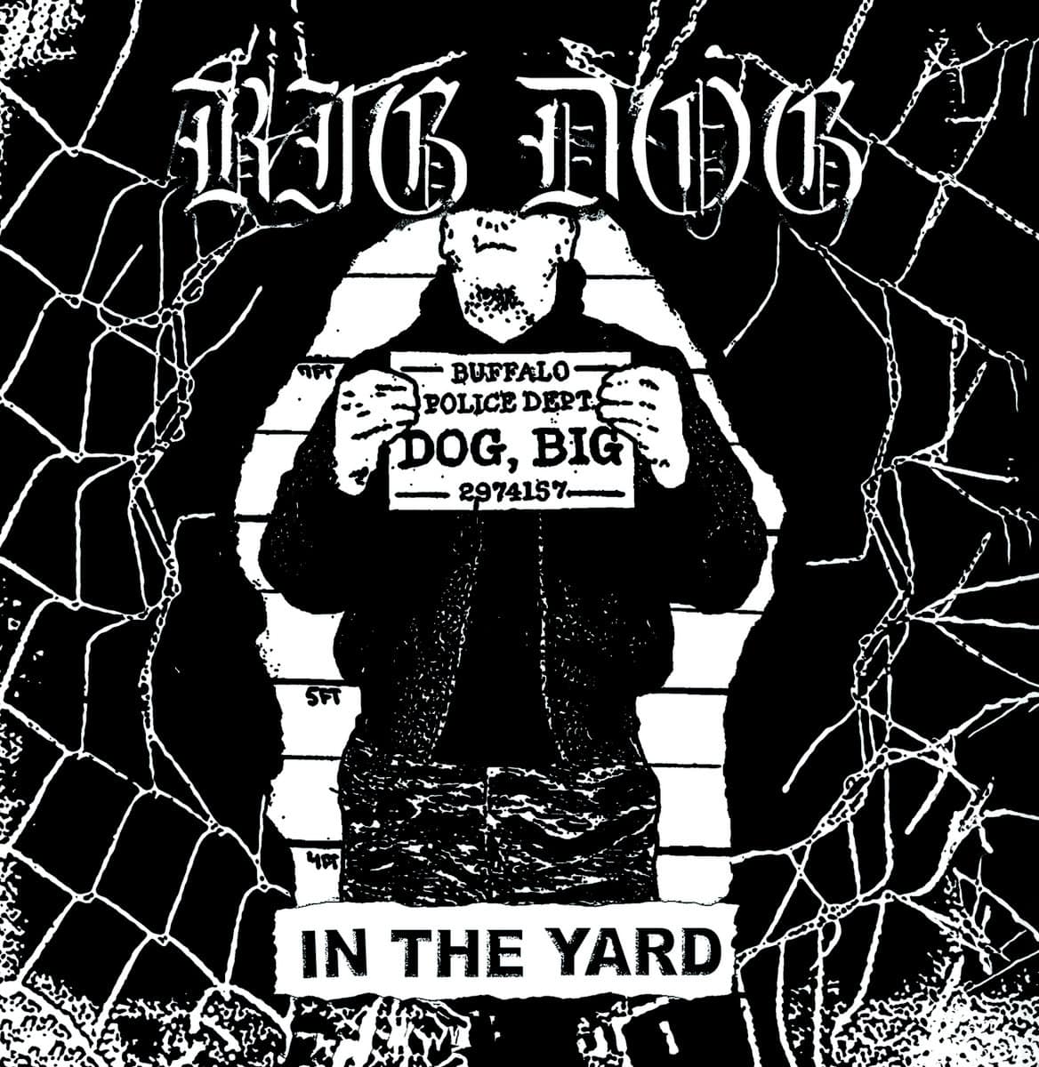 Big Dog