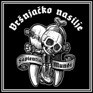 Vrsnjacko nasilje