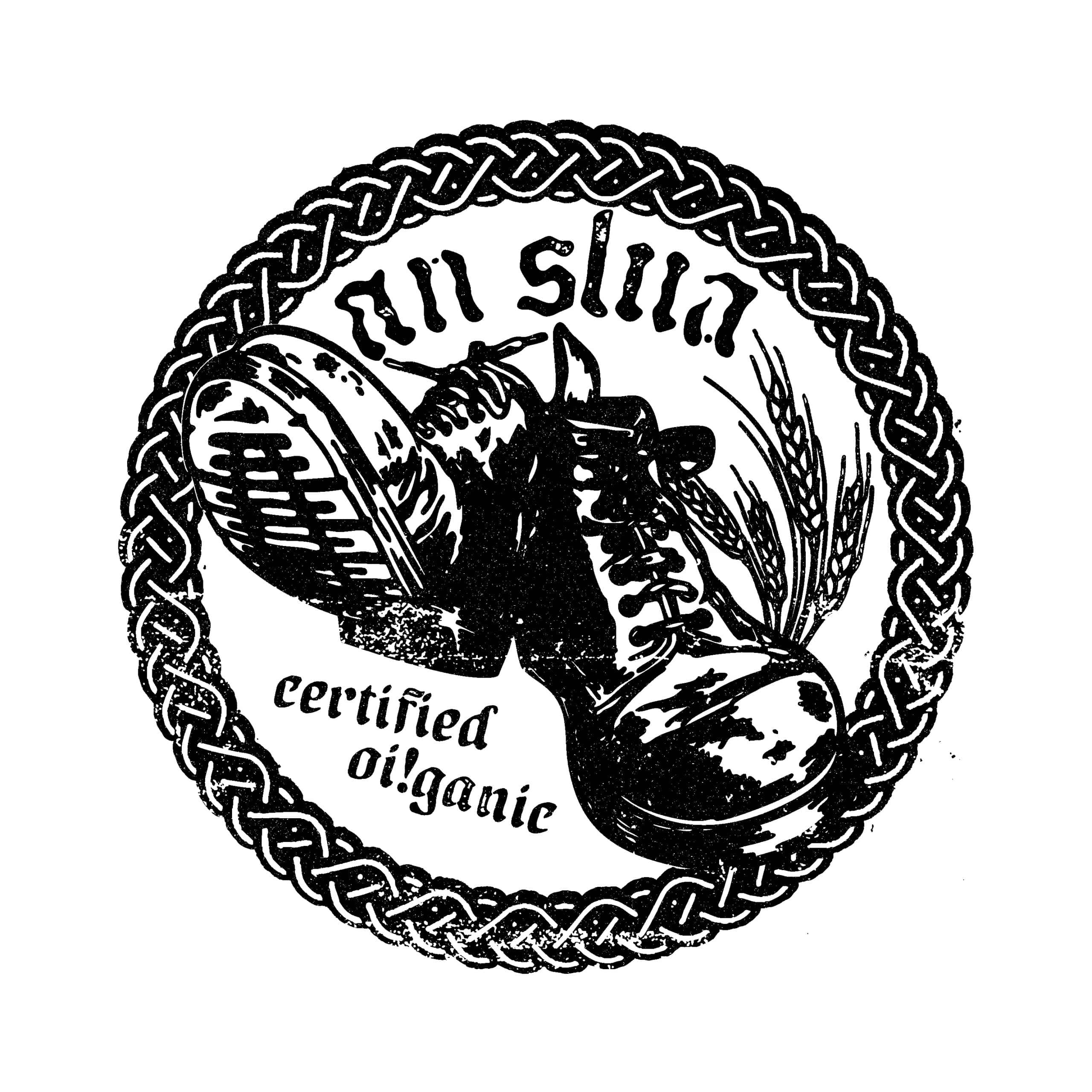 An Slua 1 scaled